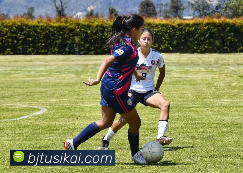 星空入口网页版官方版APP 封面图